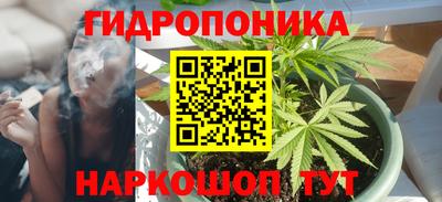 индика Будённовск