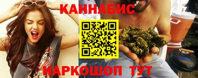 индика Будённовск