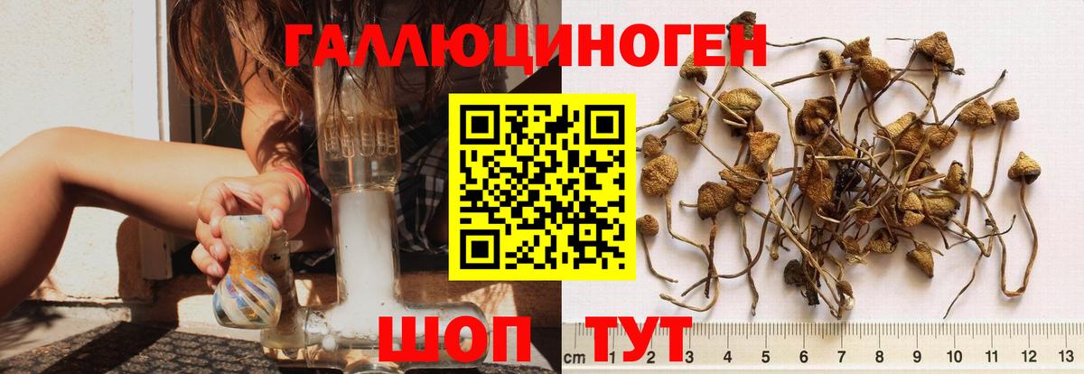 Галлюциногенные грибы GOLDEN TEACHER  Вход с VPN  Псилоцибиновые грибы мухоморы  Аксай 